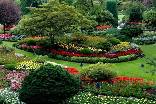 Jardinería